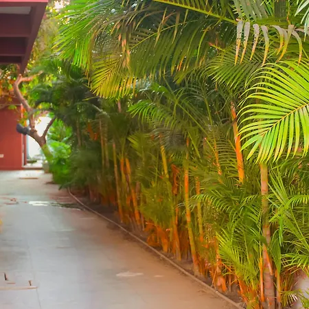 Naksha Tree Hotels- Ramapuram-2